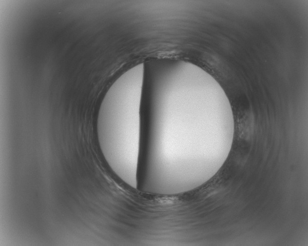 X0000068270618200604210942