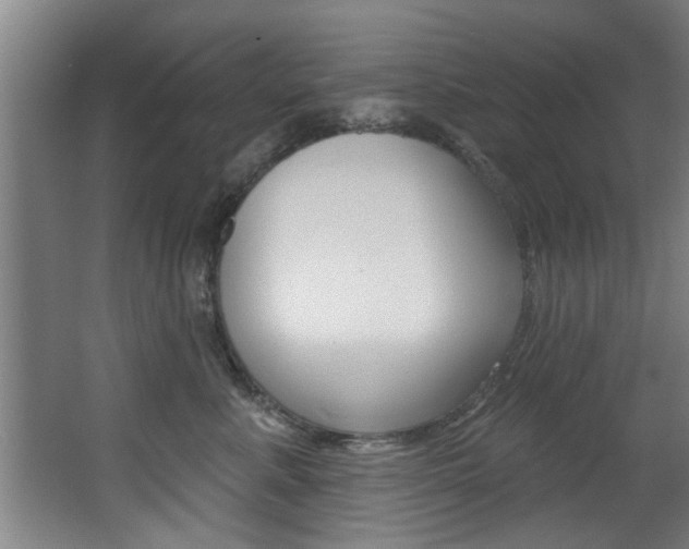 X0000068270619200604210942