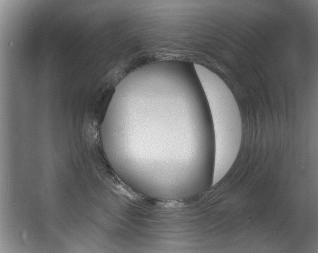 X0000068270621200604210942