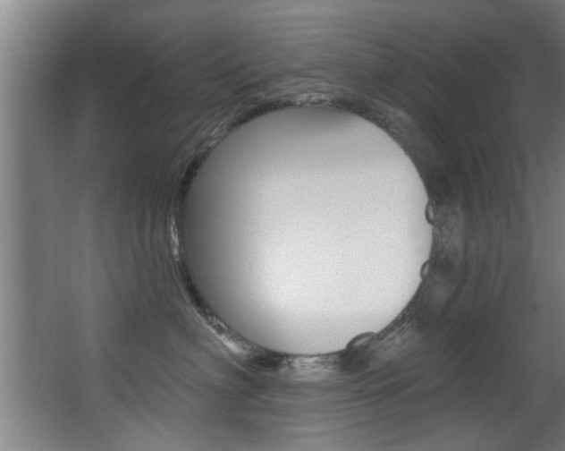 X0000068270622200604210942