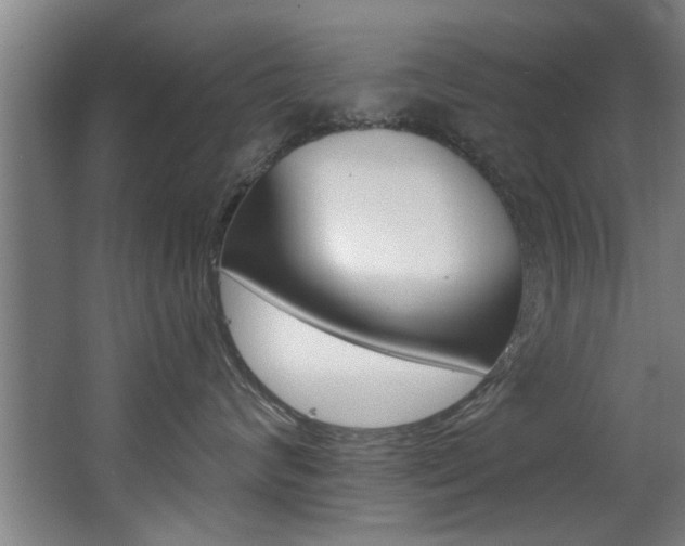 X0000068270624200604210942