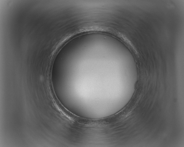 X0000068270625200604210941