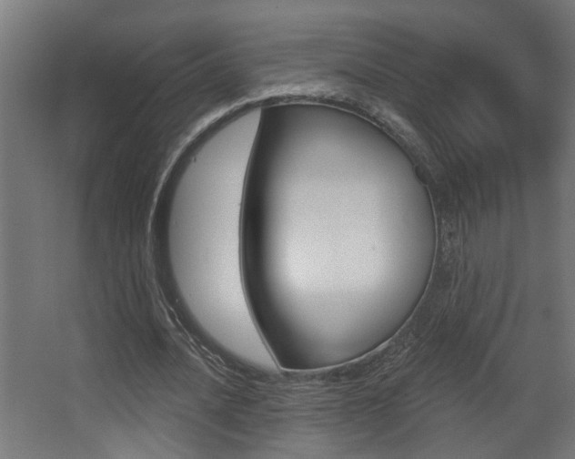 X0000068270628200604210941