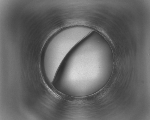 X0000068270629200604210941