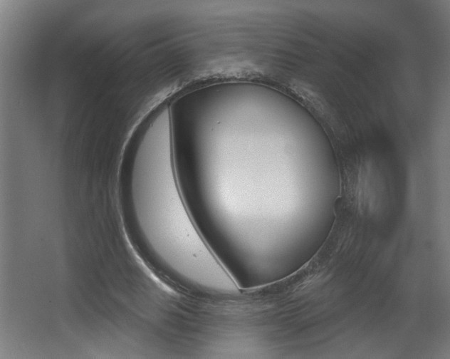 X0000068270630200604210941