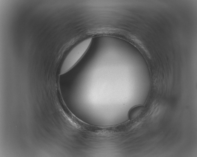 X0000068270633200604210941