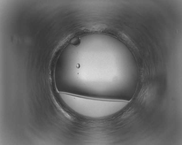 X0000068270634200604210941