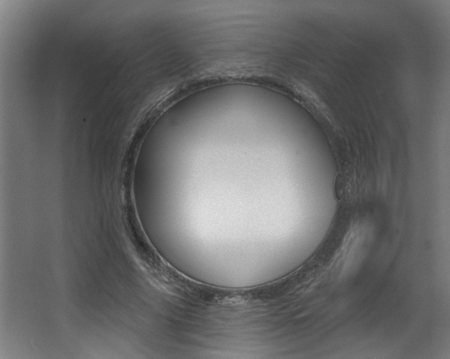 X0000068270635200604210941