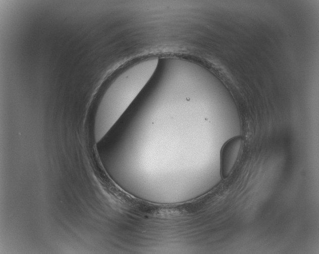 X0000068270636200604210941