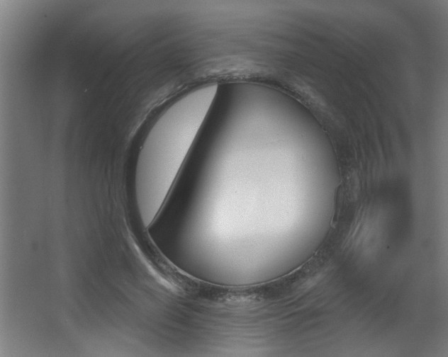 X0000068270638200604210941