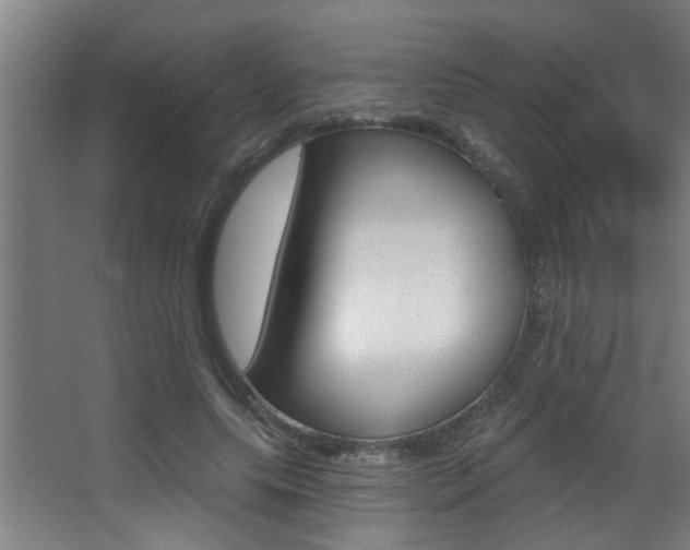 X0000068270639200604210941