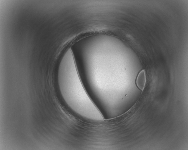 X0000068270640200604210941