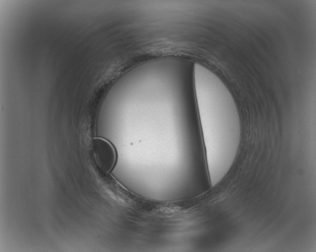 X0000068270642200604210941