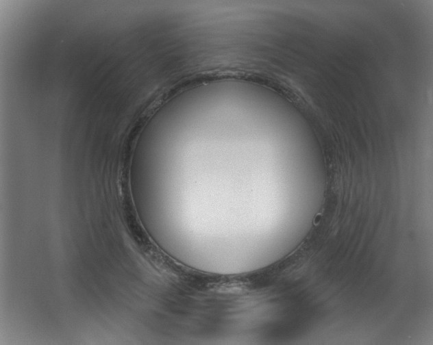 X0000068270643200604210941