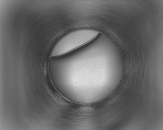 X0000068270644200604210941