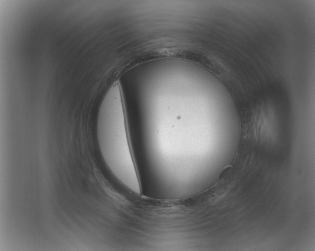 X0000068270646200604210941