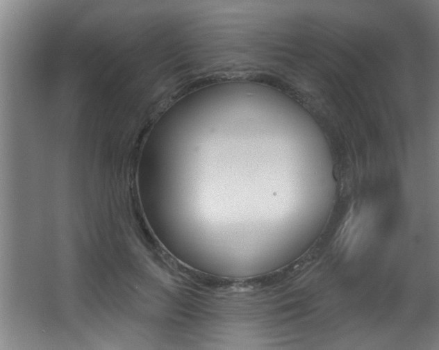 X0000068270647200604210941