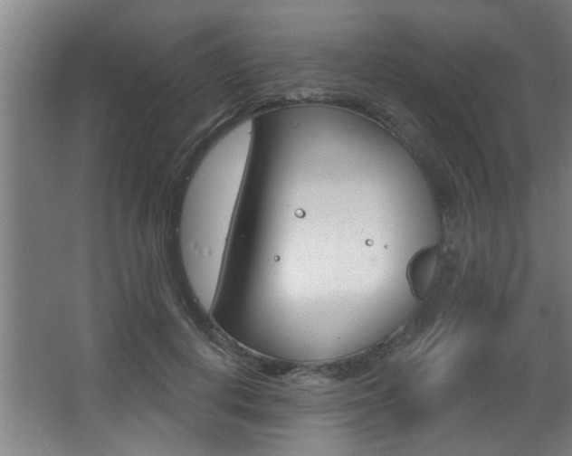 X0000068270648200604210941