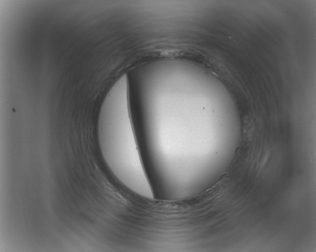 X0000068270650200604210941