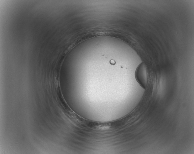 X0000068270651200604210941