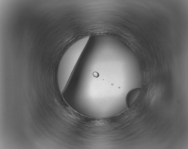 X0000068270652200604210941