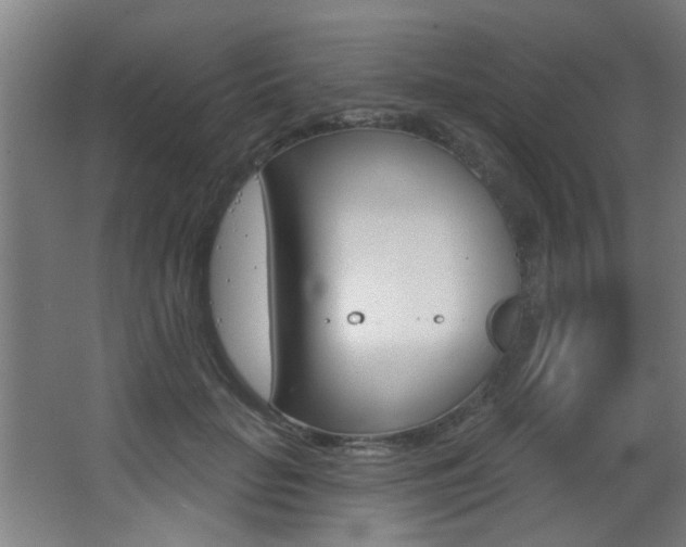 X0000068270653200604210941