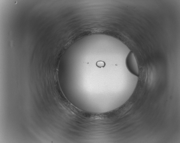 X0000068270655200604210941