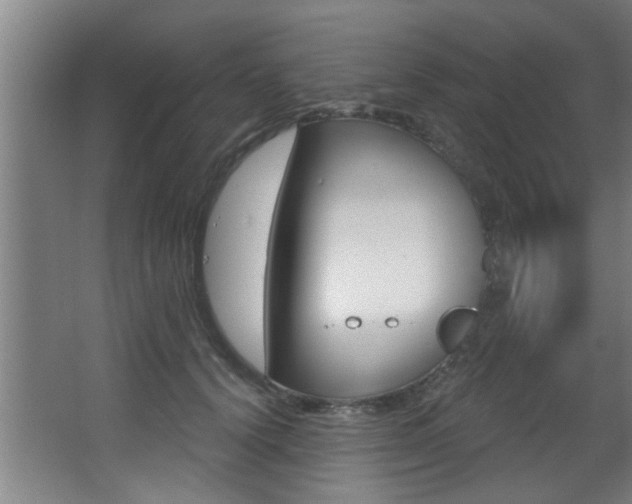 X0000068270656200604210941