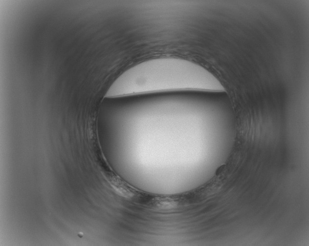 X0000068270658200604210941