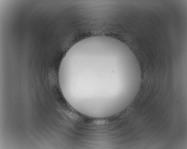 X0000068270659200604210941