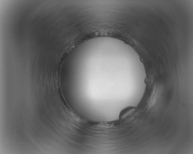 X0000068270661200604210941