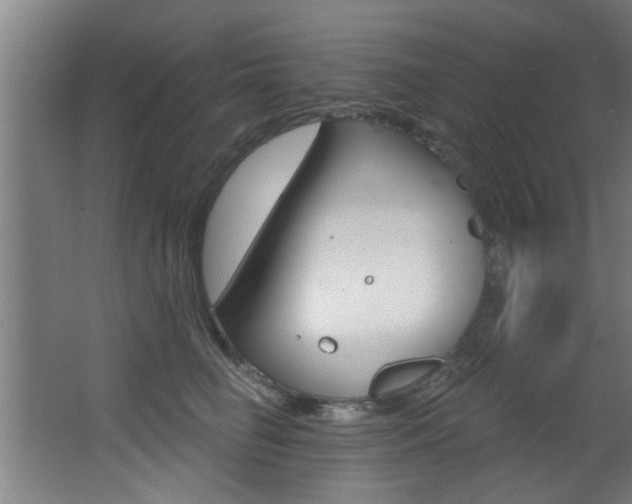 X0000068270662200604210941