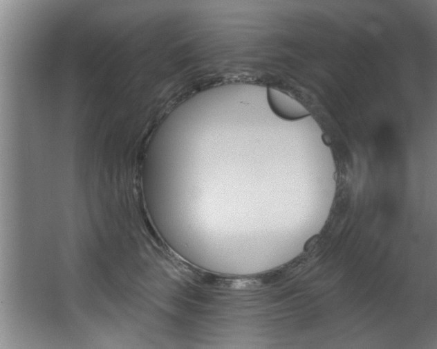 X0000068270663200604210942