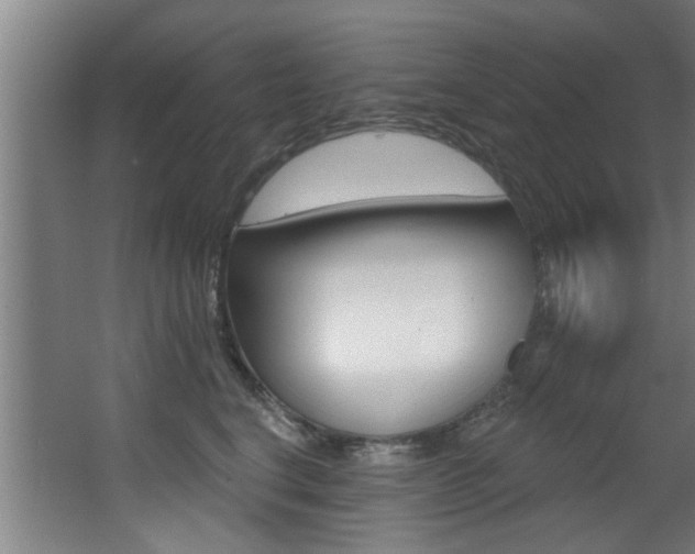 X0000068270664200604210942