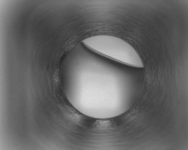 X0000068270665200604210942