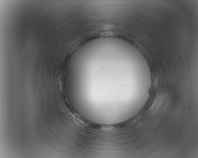 X0000068270666200604210942