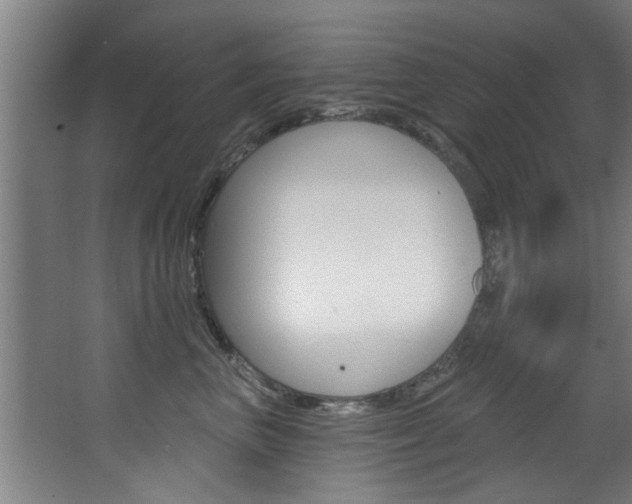 X0000068270667200604210942