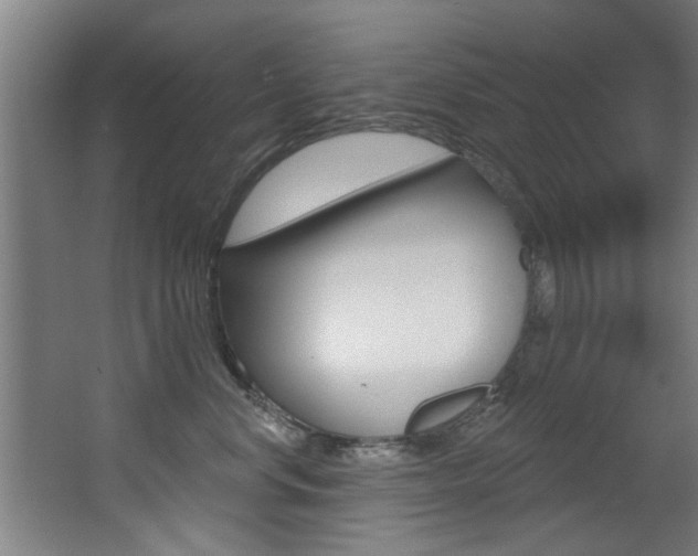 X0000068270668200604210942