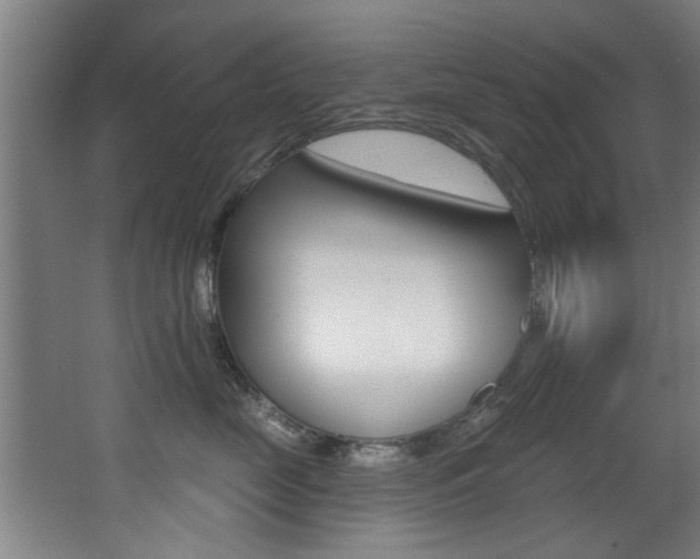 X0000068270669200604210942