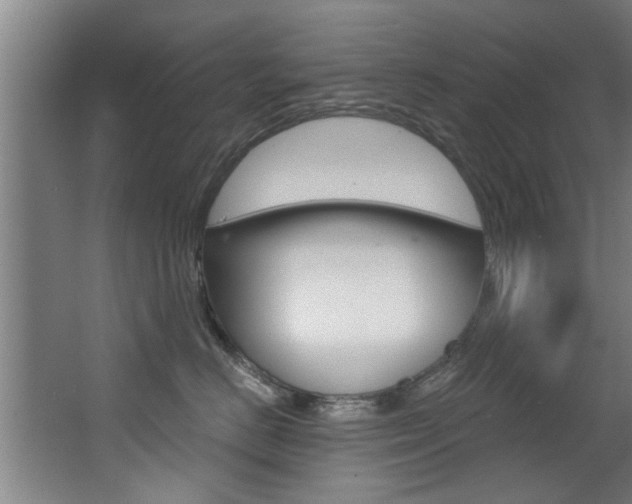 X0000068270670200604210942