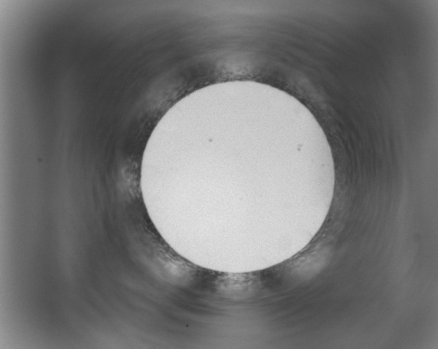 X0000068270672200604210942