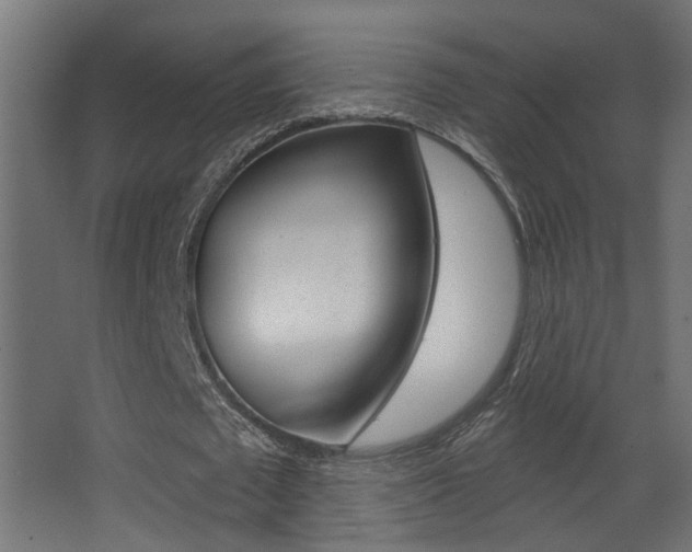 X0000068270673200604210941