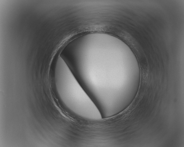 X0000068270674200604210941