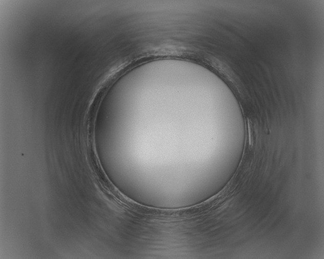 X0000068270675200604210941