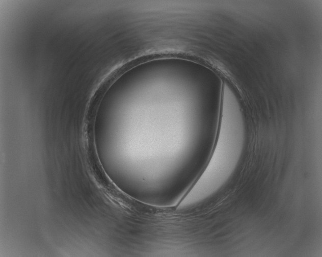 X0000068270676200604210941