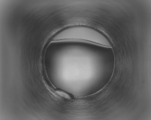 X0000068270677200604210941