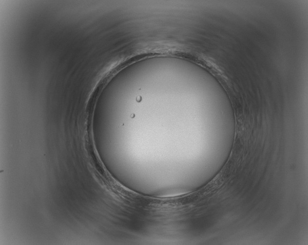 X0000068270679200604210941