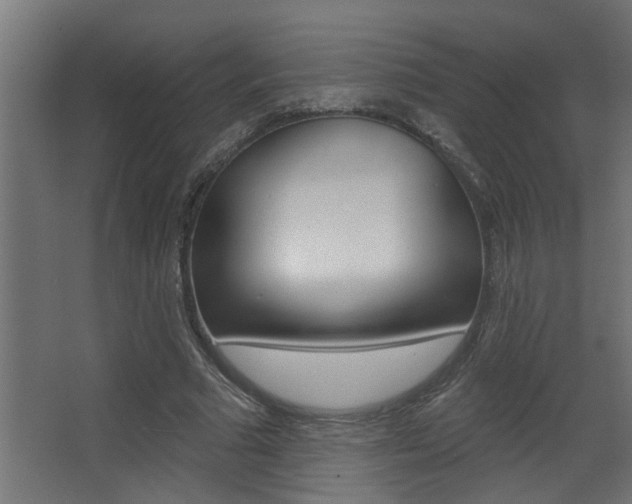 X0000068270681200604210941