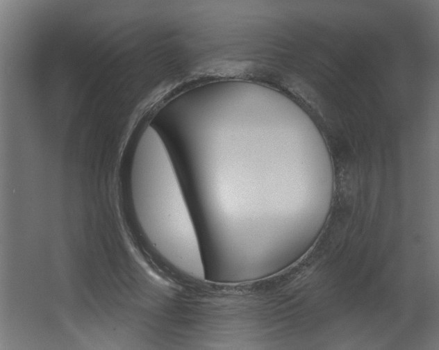 X0000068270682200604210941