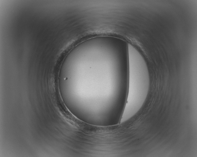 X0000068270684200604210941